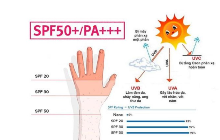 Chỉ số SPF quyết định khả năng bảo vệ của kem chống nắng cho da khô